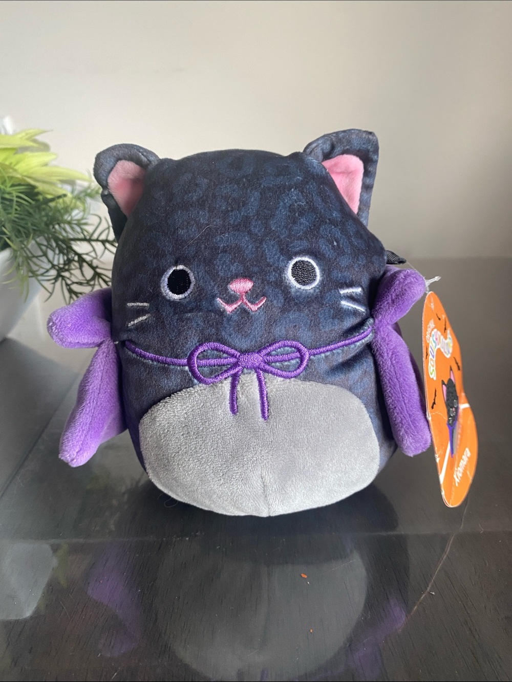 NEW🌈 Squishmallows Cat Dracula Xiomara plush animal